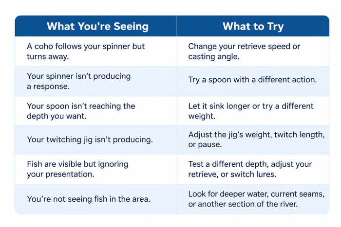 What to Change When Coho Salmon Stop Striking