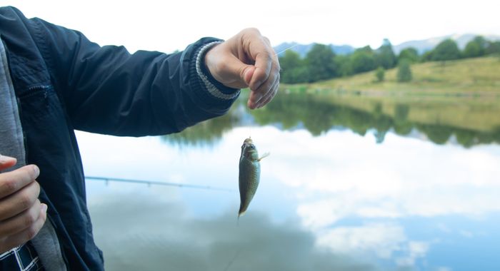 man-catching-showing-small-fish-lake.jpg