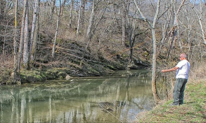 an old man fishing by the pond