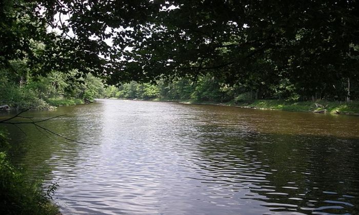 Muskegon River