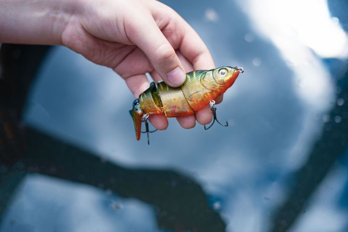 person-holding-fish.jpg