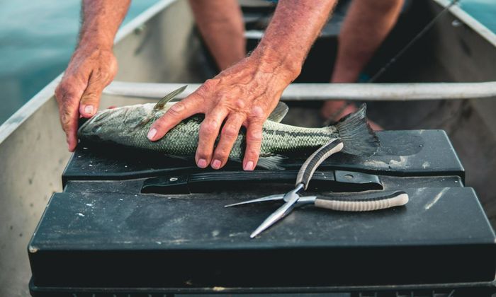 Tackle Box: 10 Most Important Things You Need to Have