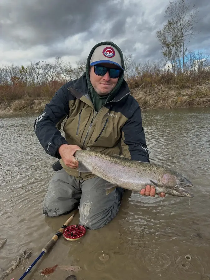 rainbow-trout-north-tonawanda-2586.webp