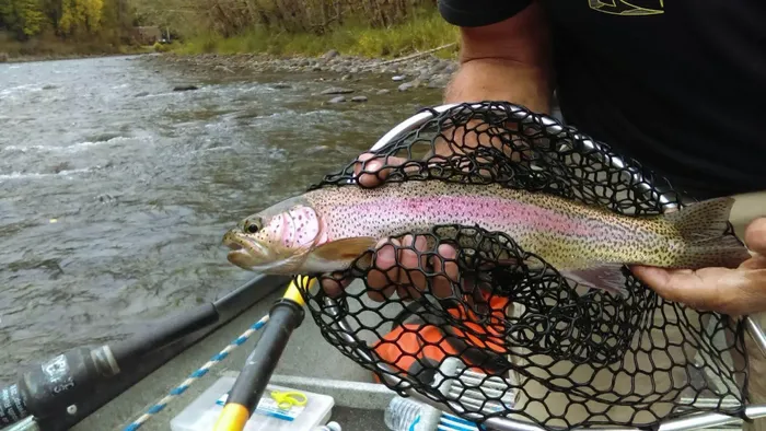 Changing your position to catch more trout