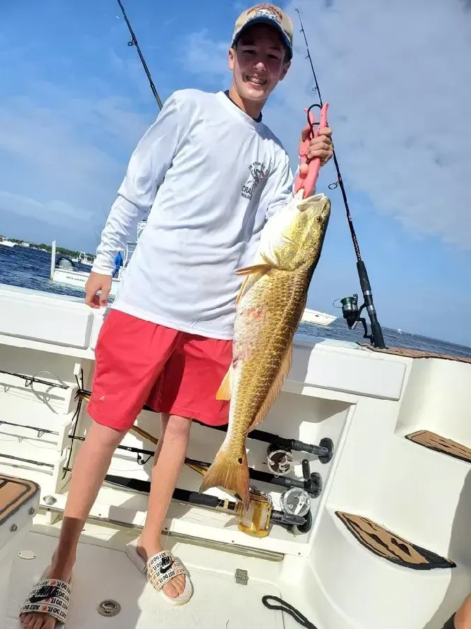 Redfish around Crab Island, Destin, Florida