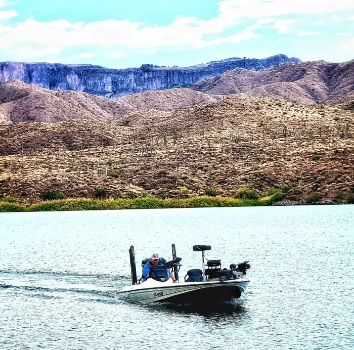 Where to find big bluegill?