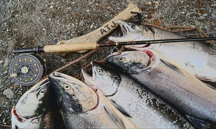 group of salmon and a fishing rod