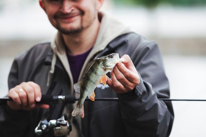 smiling-man-holding-fishing-rod-showing-caught-fish.jpg