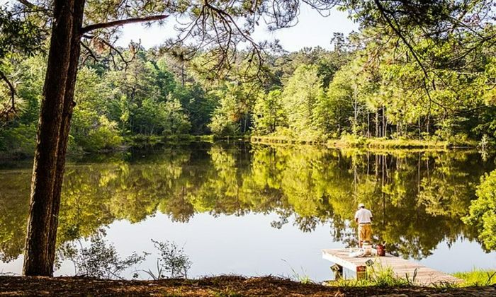 beautiful scenery of fishing during summer