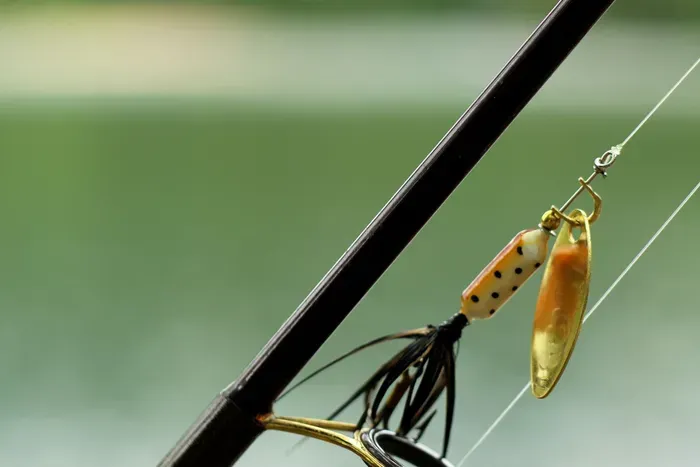 Tackle to catch large bluegill