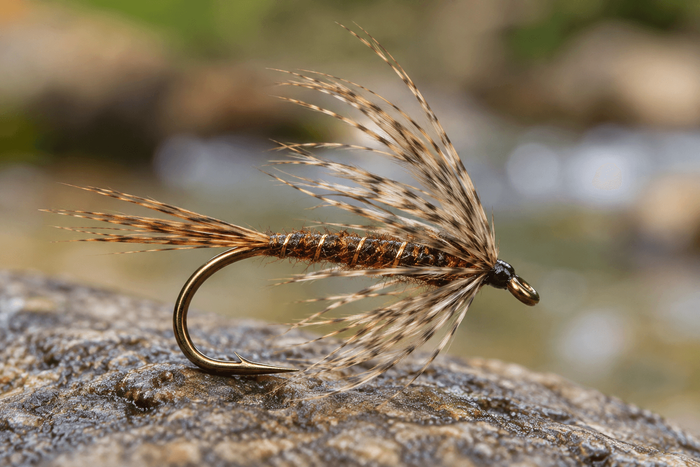 What is a soft hackle?