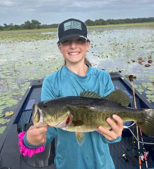 Nice bass from the Land O' Lakes waters!