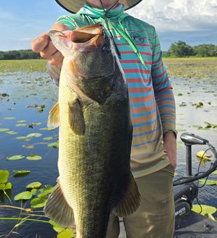 Trophy bass from Land O' Lakes delivers the goods!