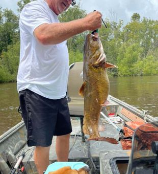 Florida's Top Catfish Fishing