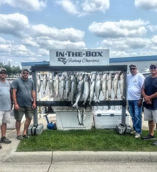 Steelhead caught Lake Michigan