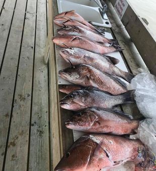 Hooked on Grand Isle!