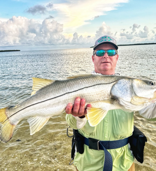 I'll show you what you're missing, this Snook!