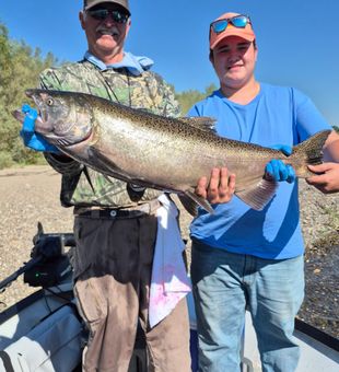 Beautiful Anderson CA Chinook salmon caught today!