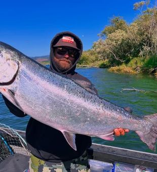 Chase hard-fighting salmon in the productive waters around Anderson and discover why Northern California anglers keep coming back.