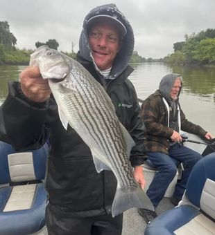 Striper Bass fishing in Anderson, CA—where the runs bring real action.