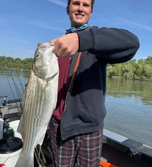 Casting for Striper Bass in Anderson, CA and feeling every fight.