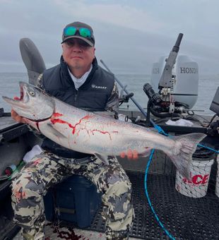 King Reeled In - Northern California.