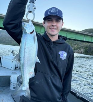Catching trophy salmon today