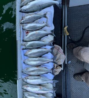 Private guided salmon fishing trip