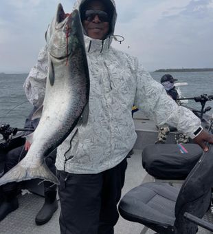 Fresh Salmon Catch! - Northern California.