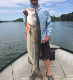River Striper, Big Smiles