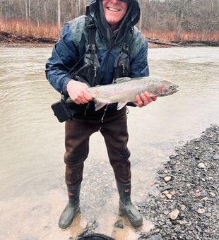 Beautiful rainbow trout from Rochester NY waters!