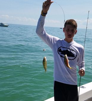 Day well-spent fishing for Perch.