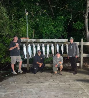 Outstanding Chinook and Coho salmon haul in Brethren MI!