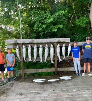 Ten beautiful Chinook salmon from Brethren MI waters!
