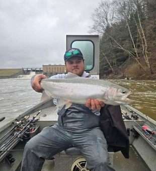 Giant steelhead catch