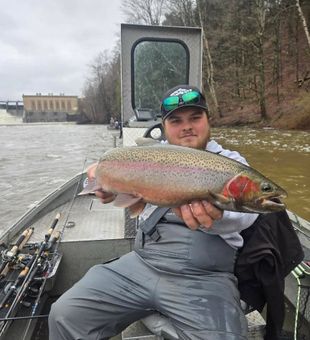 Trophy rainbow trout catch