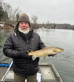 Lake Michigan trout Fishing Action