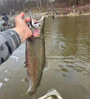 Lake Michigan fishing at its finest