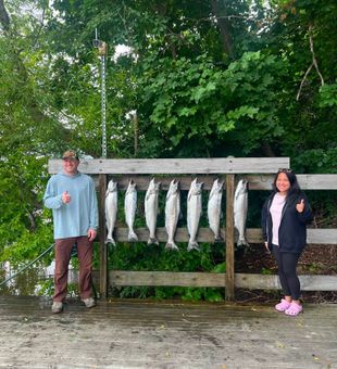 Great day landing Chinook and Coho salmon in Brethren!