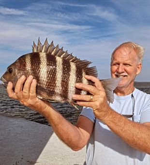 Beautiful Wanchese sheepshead ready for the cooler!