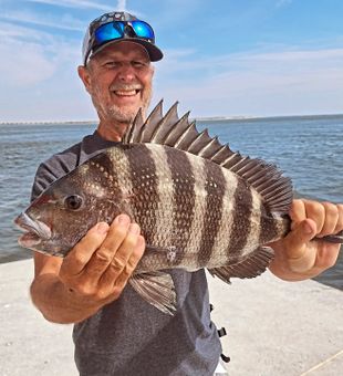 Beautiful Wanchese sheepshead ready for the cooler!