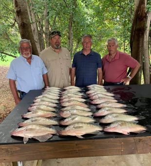 Reeled in Plenty of Crappie in Grenada, MS