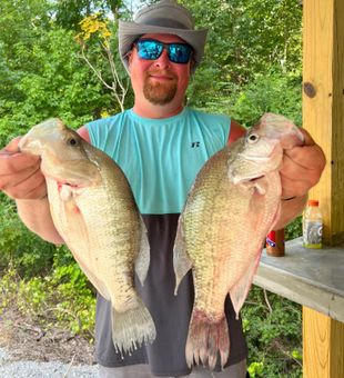 Crappie Fishing in Grenada, MS