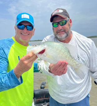 Crappie in Grenada, MS