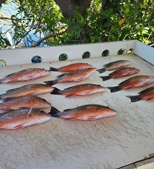 Placida fishing adventure begins