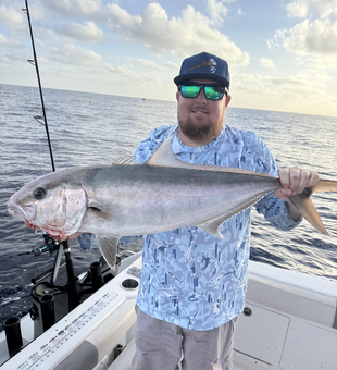 Huge 32-inch Greater Amberjack reeled in off Jensen Beach!