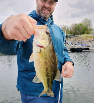 Nice bass catch in Branson MO waters!