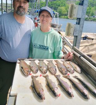 Beautiful rainbow trout from Branson MO waters!