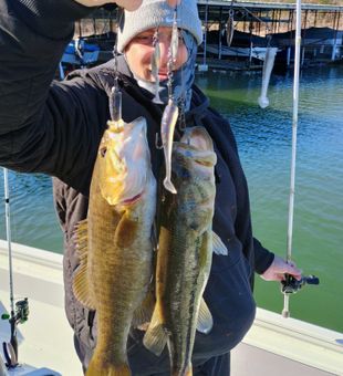 Double smallmouth bass success in Branson MO!