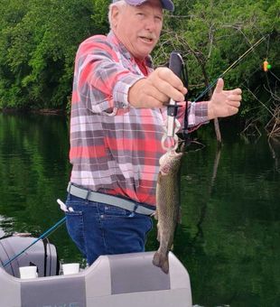 Beautiful rainbow trout caught in Branson Missouri!